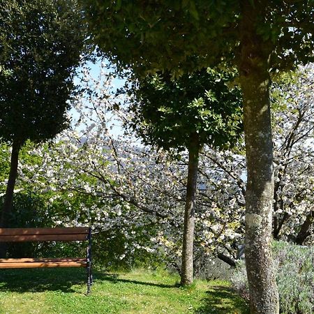 Monte A Pescia Βίλα Εξωτερικό φωτογραφία