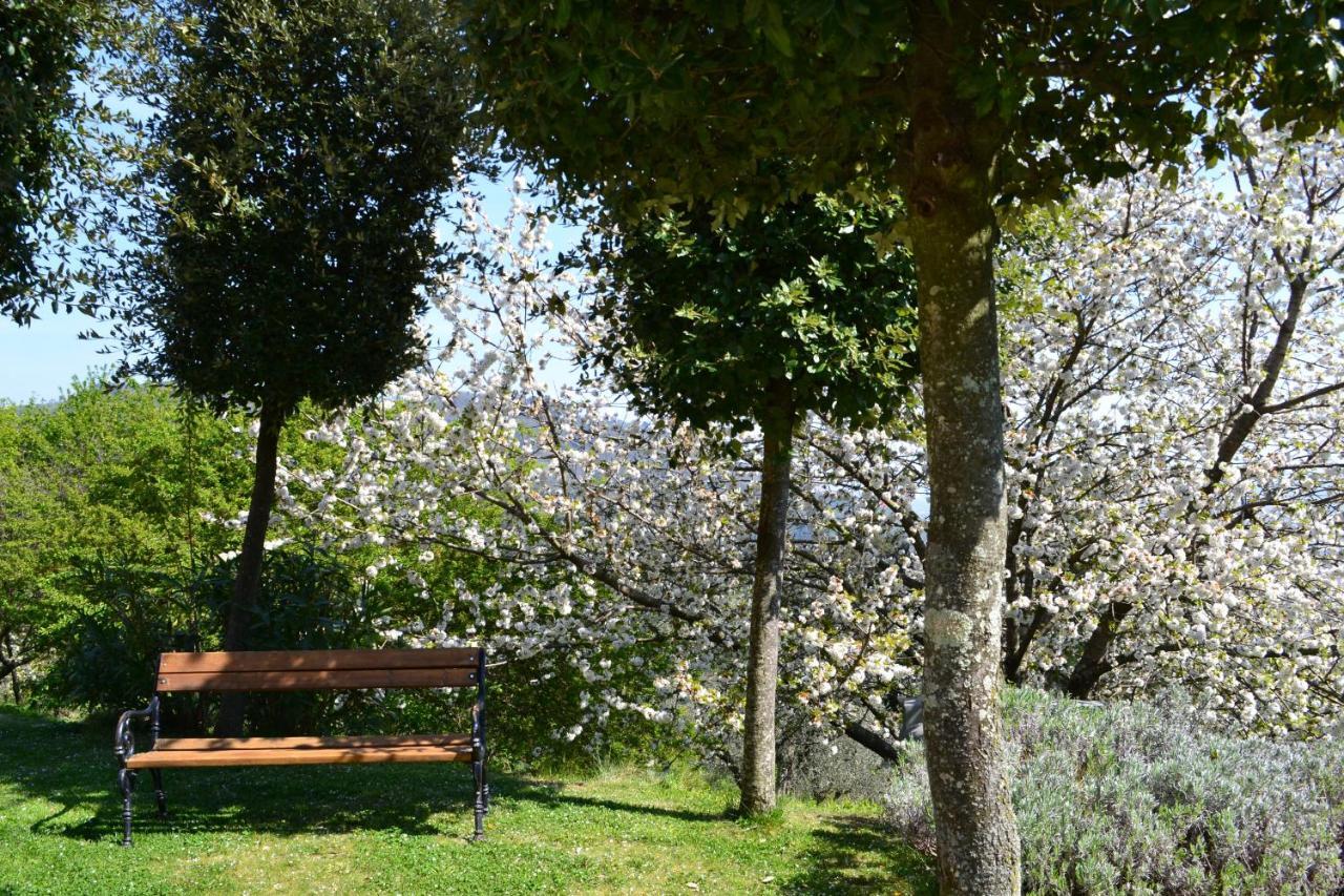 Monte A Pescia Βίλα Εξωτερικό φωτογραφία